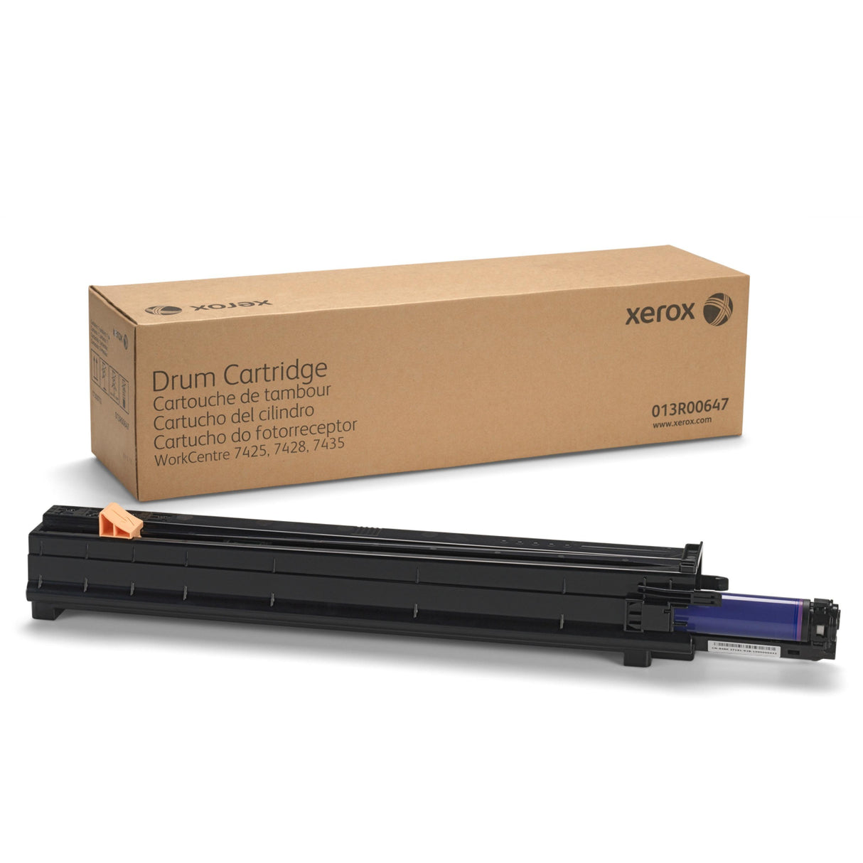 013R00647 - Tamburo Colore e B/N