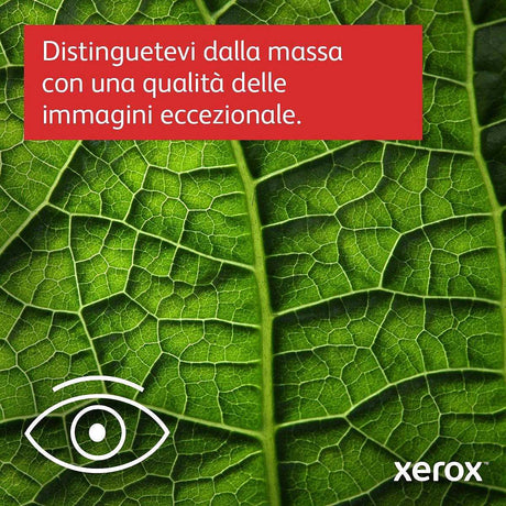 006R04376 - Toner Nero Capacità Standard - Xerox® B310